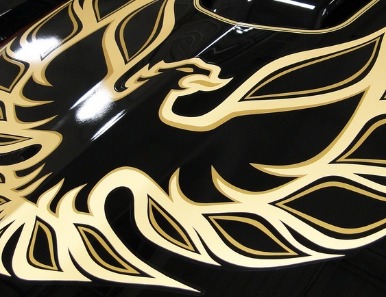 1977-78 Pontiac Trans Am SE Gold Bird Pre-molded Ultimate Decal Kit